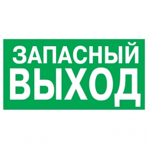 Указатель запасного выхода (100х200) Е23