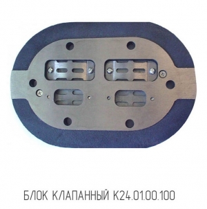 Блок клапанный К24M.01.00.100